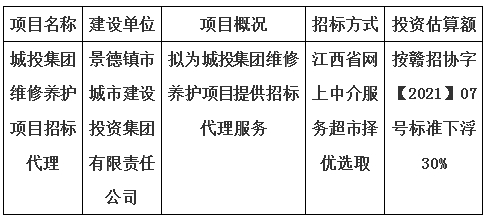 城投集团维修养护项目招标代理计划公告