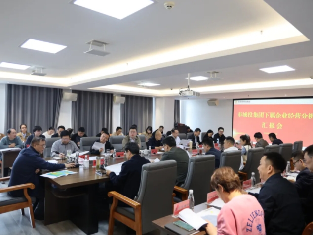 市城投集团召开下属企业经营分析会