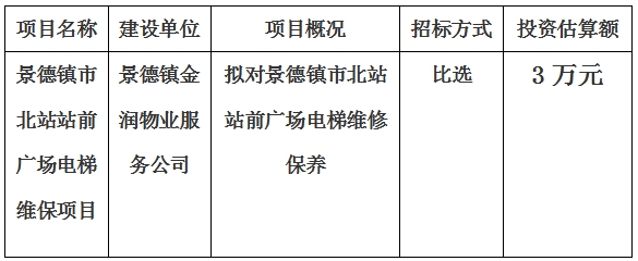 景德镇市北站站前广场电梯维保项目计划公告　