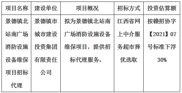 景德镇北站南广场消防设施设备维保项目招标代理计划公告