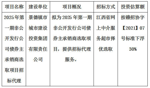 2025年第一期非公开发行公司债券主承销商选取项目招标代理计划公告