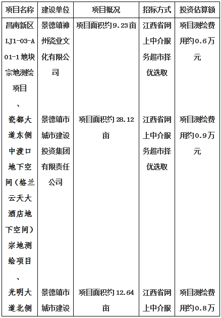景德镇市昌南新区LJ1-03-A01-1地块、瓷都大道东侧中渡口地下空间（格兰云天大酒店地下空间）、光明大道北侧利民路西侧地下空间（青少年宫地下空间）、规划二路北侧地下空间地块二（加速基地地下空间）、规划二路北侧地下空间地块一（加速基地地下空间）、景德大道南侧天宝桥西侧地块、景兴大道东侧如意路北侧地下空间(社会公共服务