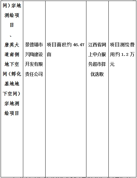 景德镇市昌南新区LJ1-03-A01-1地块、瓷都大道东侧中渡口地下空间（格兰云天大酒店地下空间）、光明大道北侧利民路西侧地下空间（青少年宫地下空间）、规划二路北侧地下空间地块二（加速基地地下空间）、规划二路北侧地下空间地块一（加速基地地下空间）、景德大道南侧天宝桥西侧地块、景兴大道东侧如意路北侧地下空间(社会公共服务