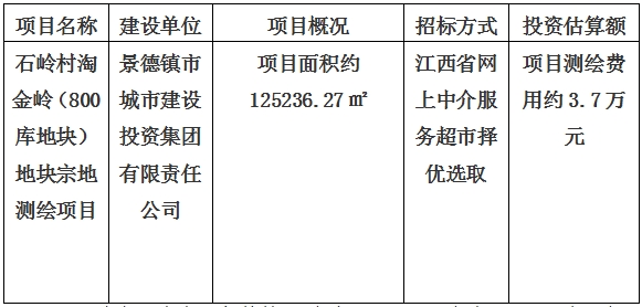 景德镇市石岭村淘金岭（800库地块）地块宗地测绘项目计划公告