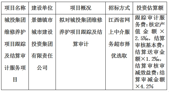 城投集团维修养护项目跟踪及结算审计服务项目计划公告