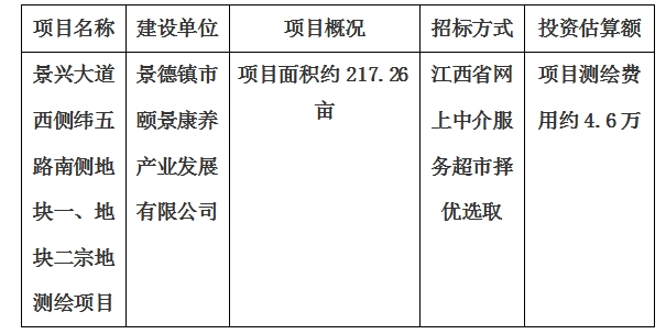 景兴大道西侧纬五路南侧地块一、地块二宗地