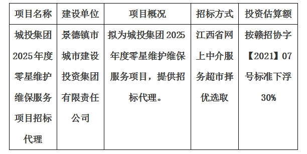 城投集团2025年度零星维护维保服务项目招标代理计划公告