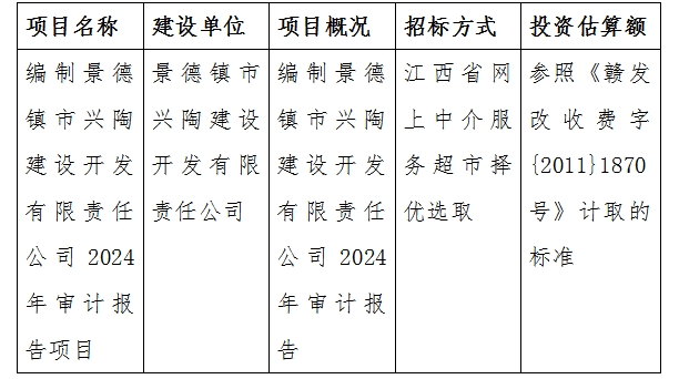 编制景德镇市兴陶建设开发有限责任公司2024年审计报告项目计划公告
