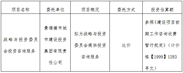 战略与投资委员会投资咨询服务计划公告　