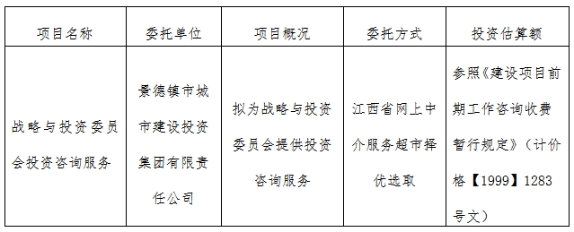 战略与投资委员会投资咨询服务计划公告　　