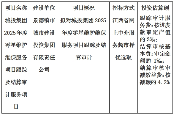 城投集团2025年度零星维护维保服务项目跟踪及结算审计服务项目计划公告