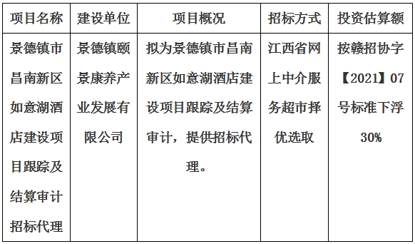 景德镇市昌南新区如意湖酒店建设项目跟踪及结算审计招标代理计划公告