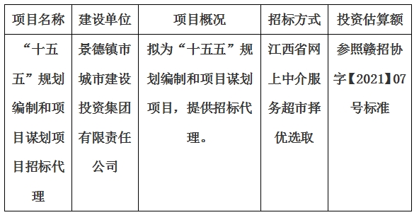 “十五五”规划编制和项目谋划项目招标代理计划公告