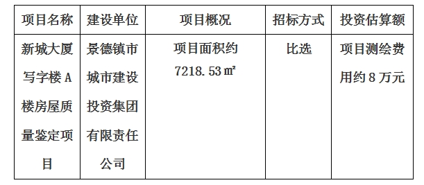 新城大厦写字楼A楼房屋质量鉴定项目计划公告