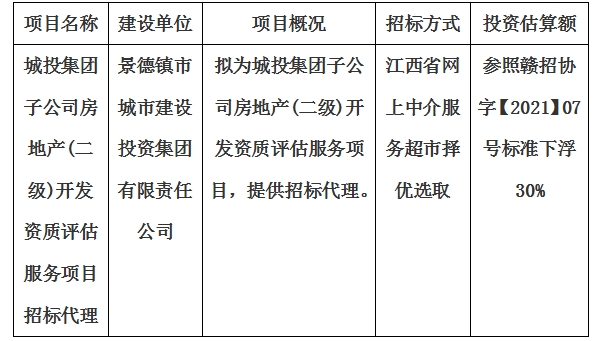 城投集团子公司房地产(二级)开发资质评估服务项目招标代理计划公告