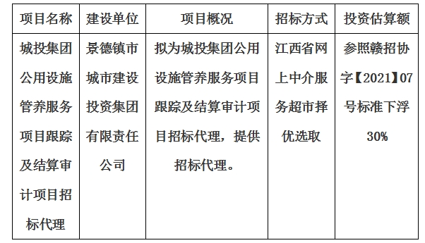 城投集团公用设施管养服务项目跟踪及结算审计项目招标代理计划公告