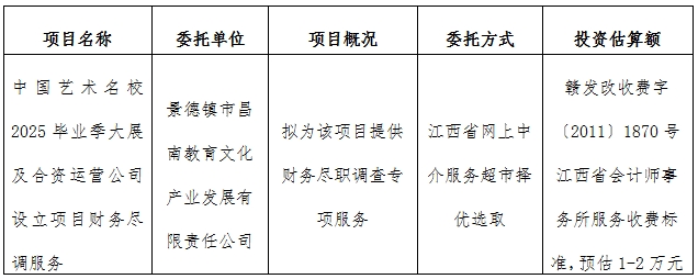 中国艺术名校2025毕业季大展及合资运营公司设立项目财务尽调服务计划公告