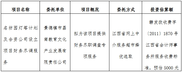 名坊园灯塔计划及合资公司设立项目财务尽调服务计划公告