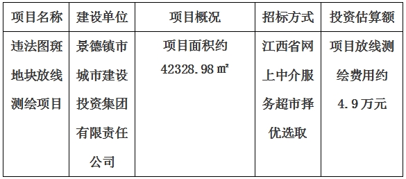 违法图斑地块放线测绘项目计划公告