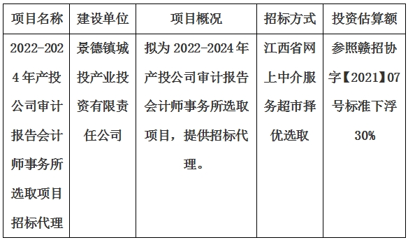 2022-2024年产投公司审计报告会计师事务所选取项目招标代理计划公告