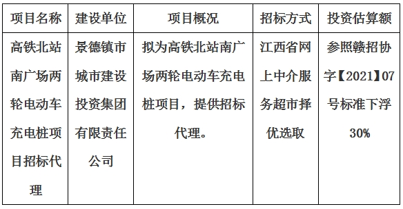 高铁北站南广场两轮电动车充电桩项目招标代理计划公告