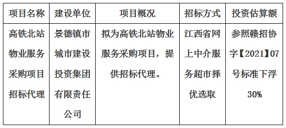 高铁北站物业服务采购项目招标代理计划公告