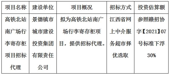 高铁北站南广场行李寄存柜项目招标代理计划公告