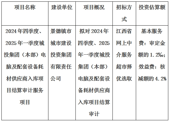 2024年四季度、2025年一季度城投集团（本部）电脑及配套设备耗材供应商入库项目结算审计服务项目计划公告