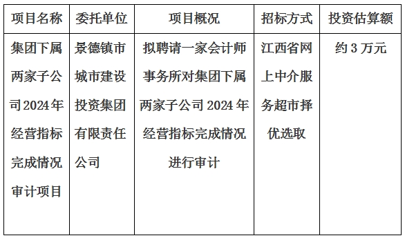 集团下属两家子公司2024年经营指标完成情况审计项目计划公告