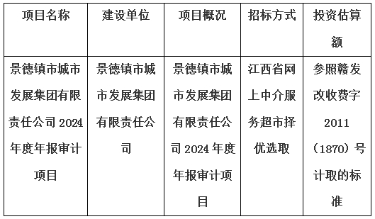 景德镇市城市发展集团有限责任公司2024年度年报审计项目计划公告