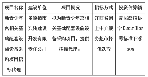 新青少年宫相关基础配套设施设备采购项目招标代理计划公告