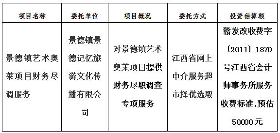 景德镇艺术奥莱项目财务尽调服务计划公告