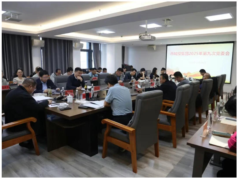 市城投集团召开党委会传达学习贯