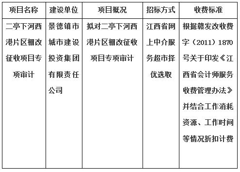 二亭下河西港片区棚改征收项目专项审计的计划公告